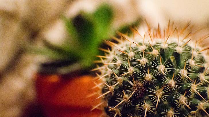 latine-photo Multiracial friends group taking selfie portrait outside